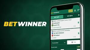 How to Fund Your Betwinner Account A Comprehensive Guide 2102019142